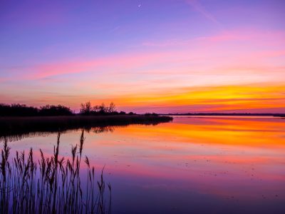 Horsey Mere - Norfolk