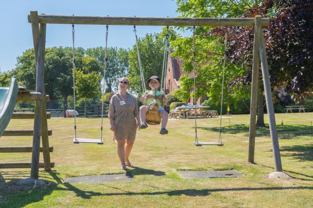 Lower Wood Farm - Swings